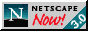 Netscape version 3 logo
