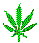 Marijuana leif